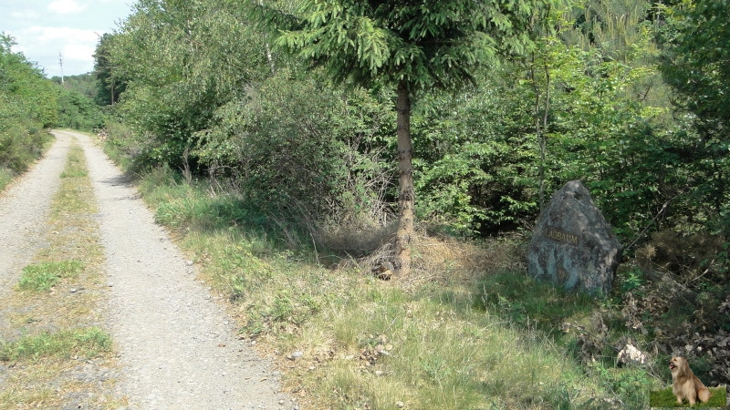 Ritterstein Nr. 180-4 Schlagbaum.JPG - Ritterstein Nr.180 Schlagbaum